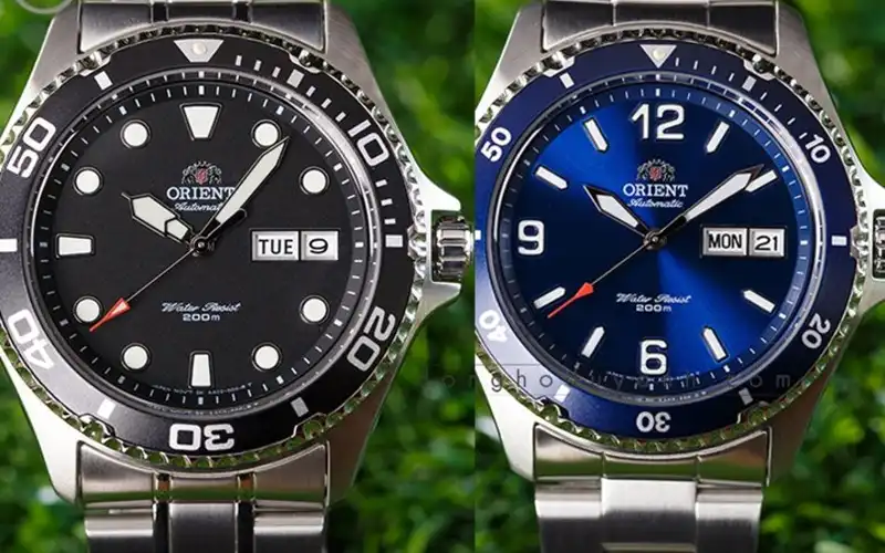 Orient Mako II và Ray II