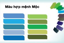 Mệnh Mộc đeo đồng hồ