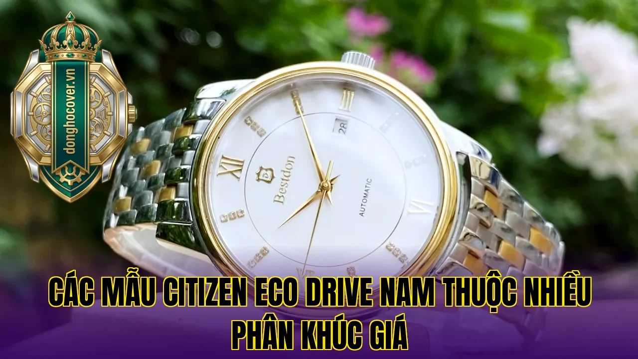 Các mẫu Citizen Eco Drive nam thuộc nhiều phân khúc giá