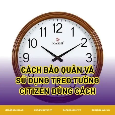 Cách bảo quản và sử dụng treo tường citizen đúng cách