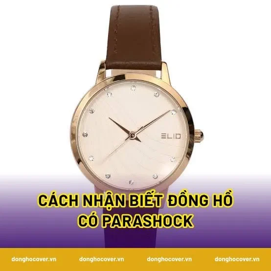 Cách Nhận Biết Đồng Hồ Có Parashock