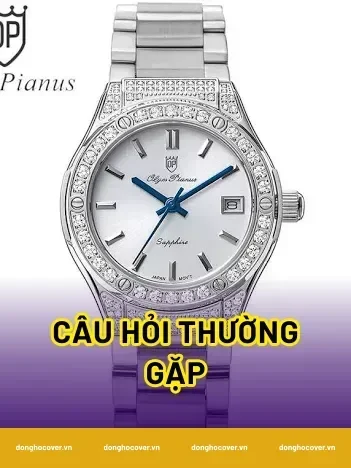 Câu hỏi thường gặp