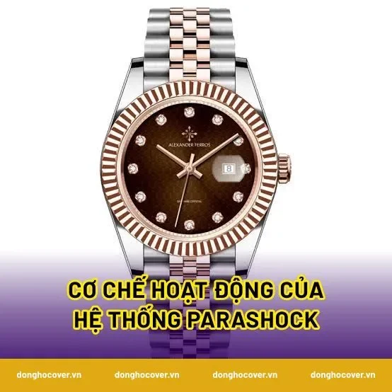 Cơ Chế Hoạt Động Của Hệ Thống Parashock